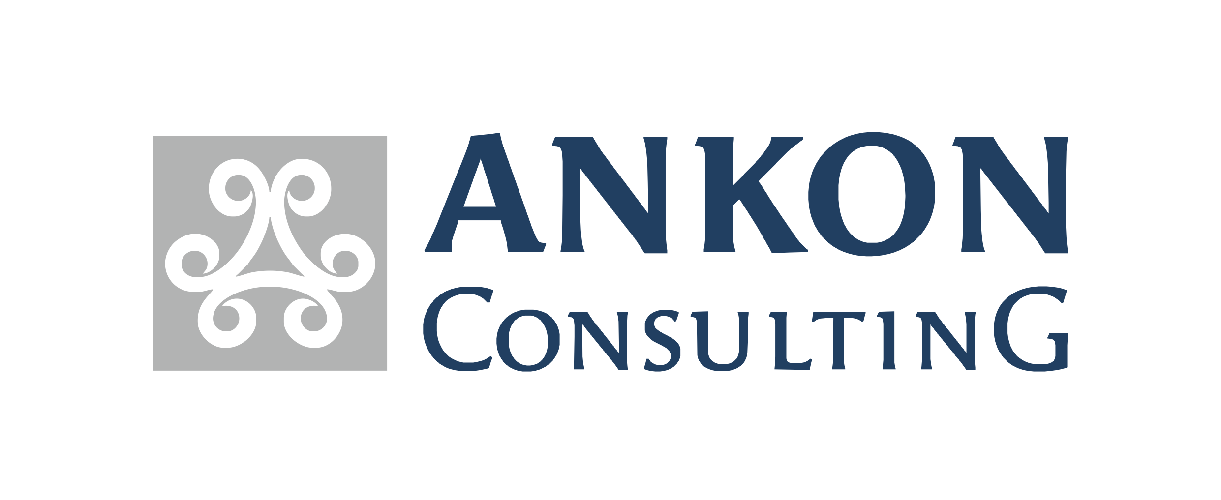 ANKON Consulting